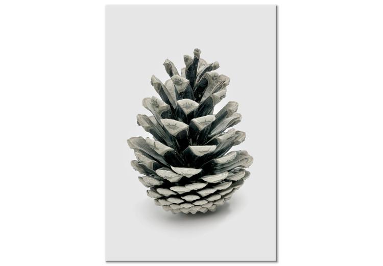 Canvas Print Winter cone - floral, winter photograph on a white background