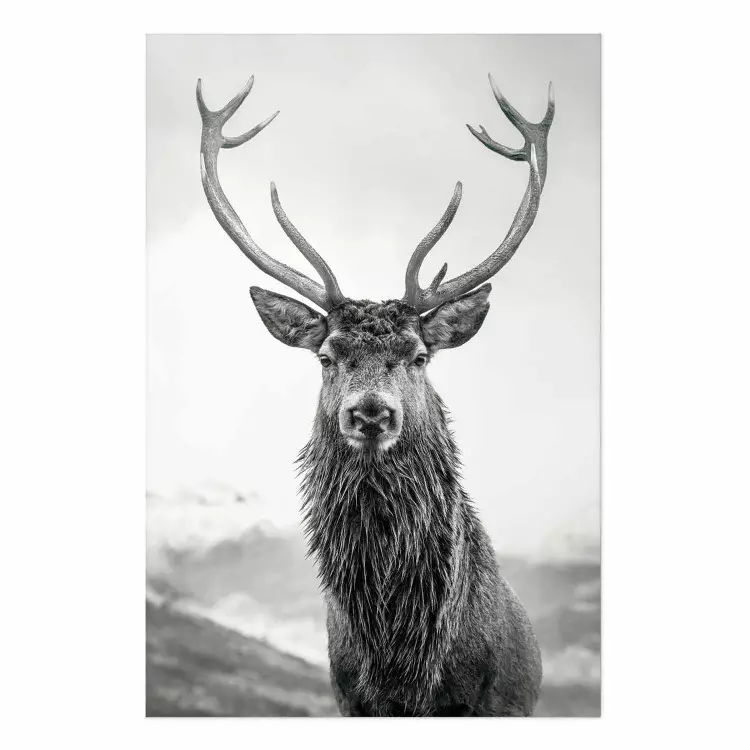 Poster Lord of Autumn - black and white portrait of a deer against a background of sky and nature
