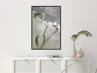 Gallery wall Purity of Mist - composition of a plant with white flowers on a nature background
