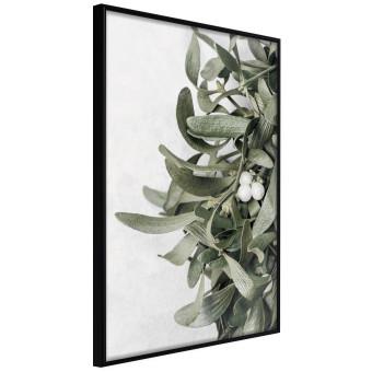Happy Kiss - leafy plant with flowers on a gray background