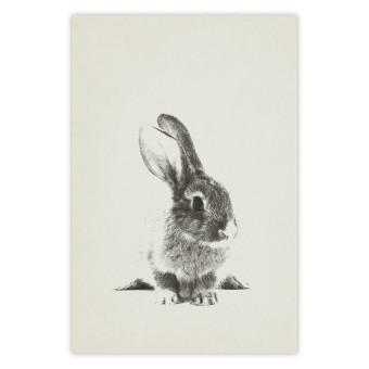 Poster Fluffy Bunny - gray rabbit sketch on a solid background