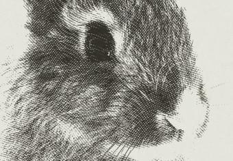 Poster Fluffy Bunny - gray rabbit sketch on a solid background