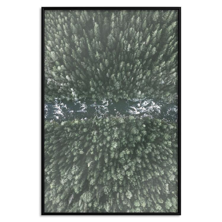 Poster Forest River [Poster]