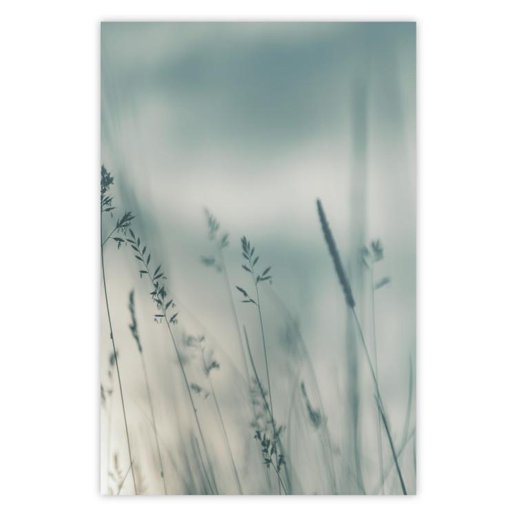 Tall Grass - a landscape of a meadow with tall grass in pastel colors