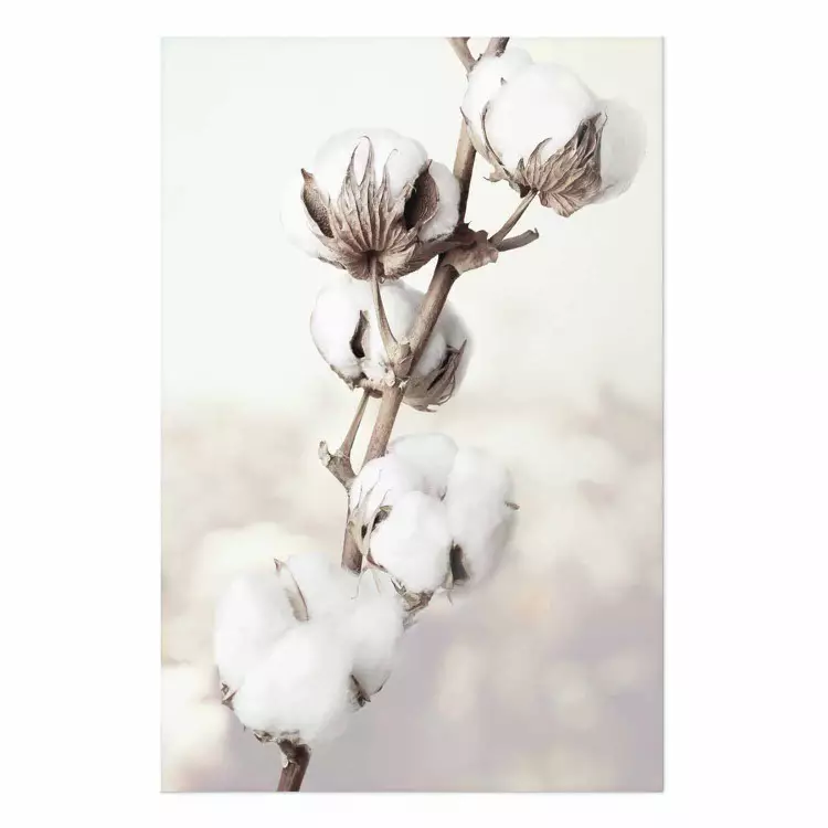 Poster Subtlety of Nature - a landscape of a plant with white flowers on a bright background