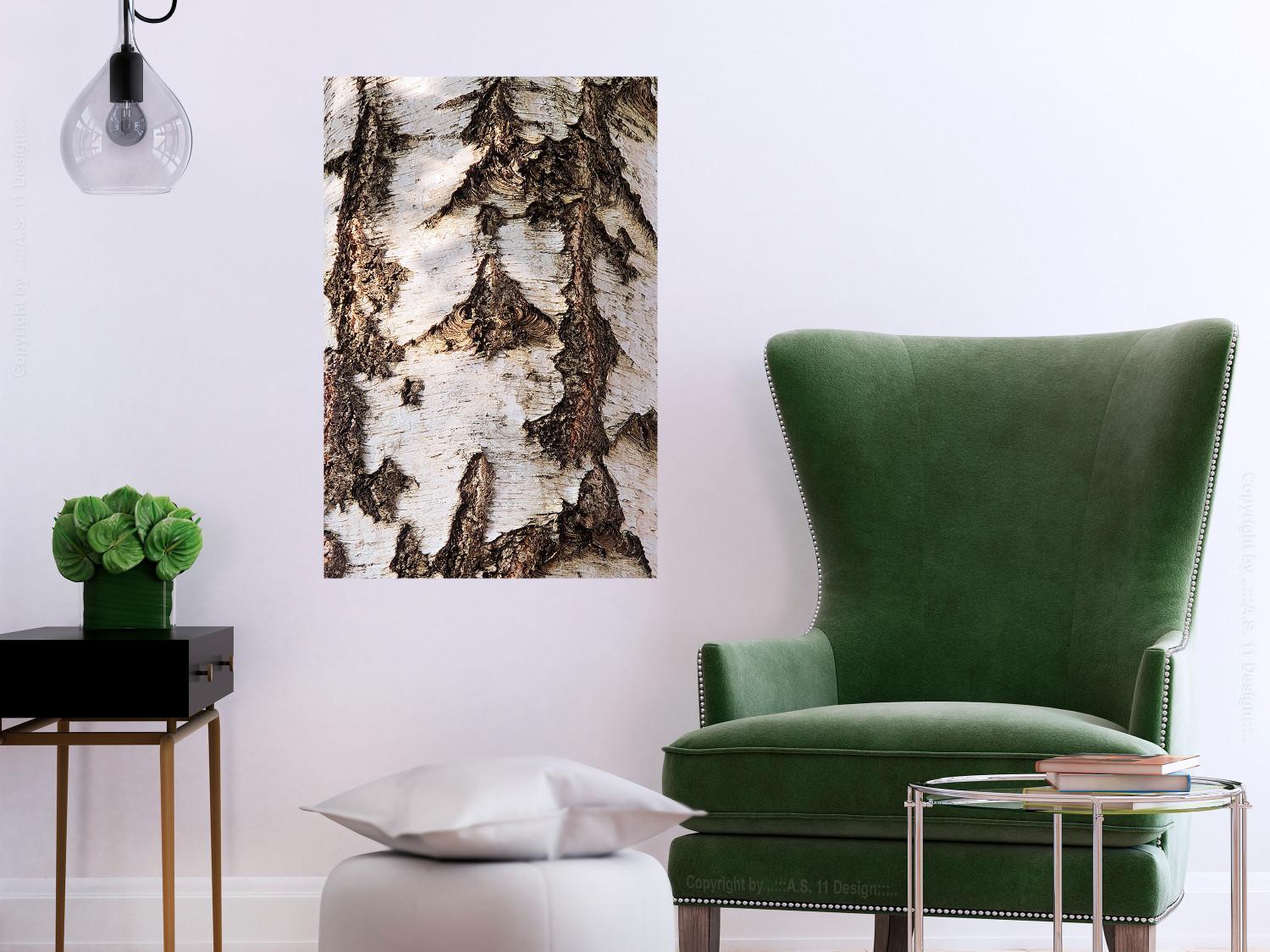 Poster Beautiful Texture - birch tree bark texture in light color