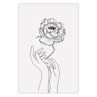 Poster Delicate Flower - line art of flowers and hands on a contrasting white background