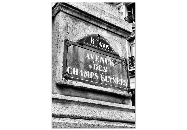 Champs-Elysees Avenue - black and white graphic of famous Paris street