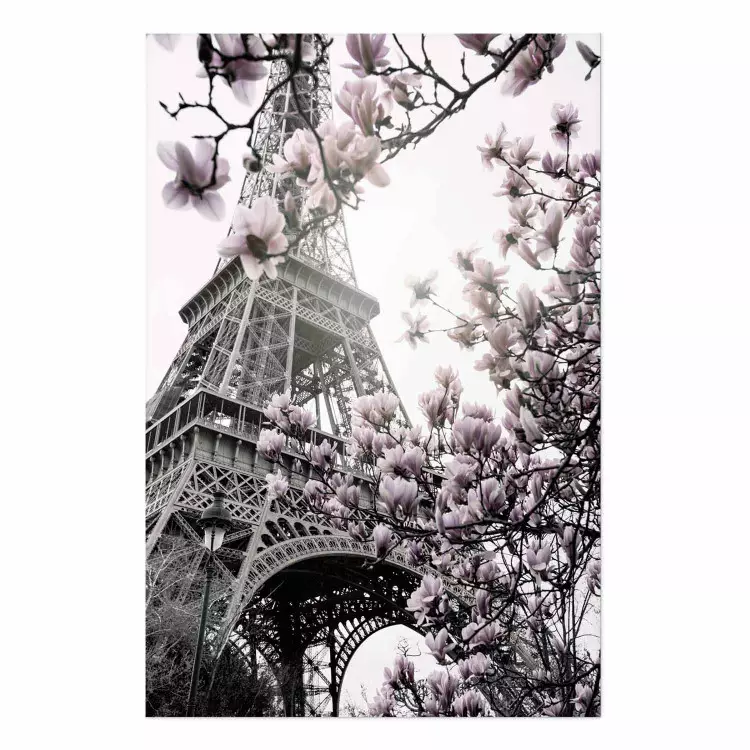 Poster Magnolias in the Sun of Paris - pink flowers against the gray backdrop of the Eiffel Tower