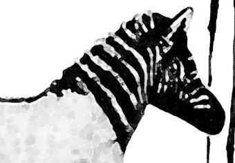 Poster Banksy: Zebra Crossing - black and white zebra and woman hanging stripes