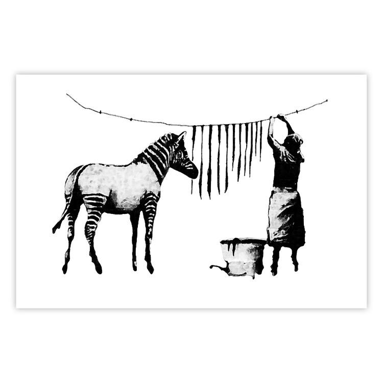 Banksy: Zebra Crossing - black and white zebra and woman hanging stripes