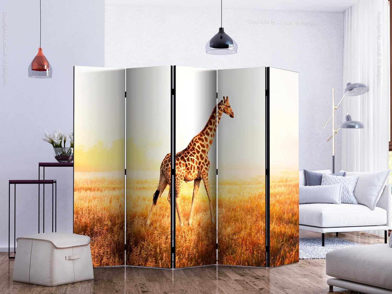 Room Divider Giraffe - Stroll II (5-piece) - animal walking through a sunny field