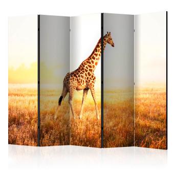 Room Divider Giraffe - Stroll II (5-piece) - animal walking through a sunny field