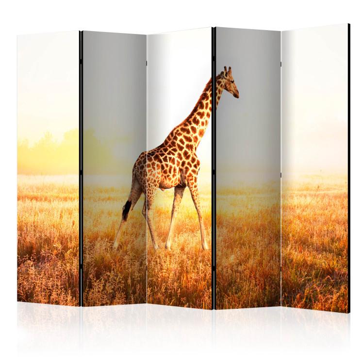 Room Divider Giraffe - walk II [Room Dividers]