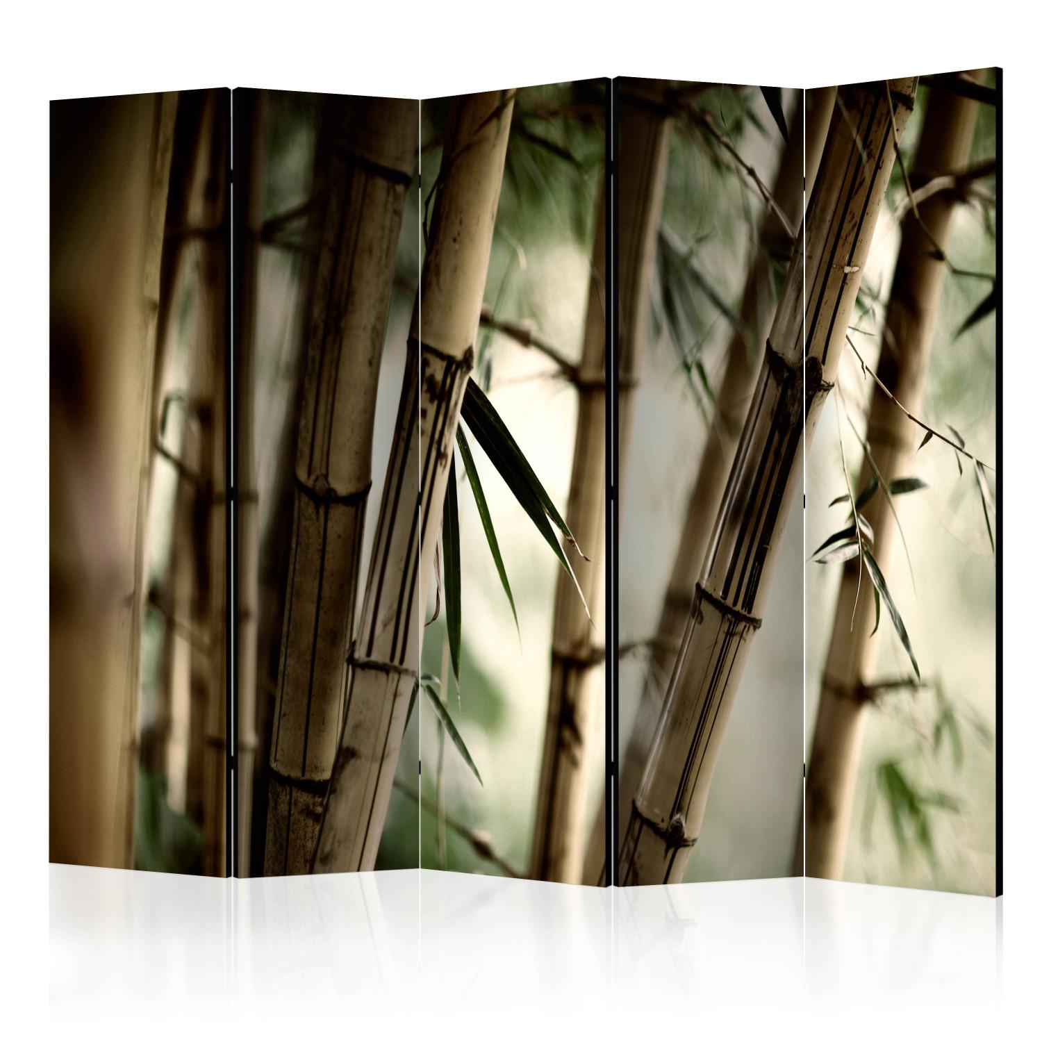 Room Divider Fog and Bamboo Forest II (5-piece) - bamboo poles in the forest