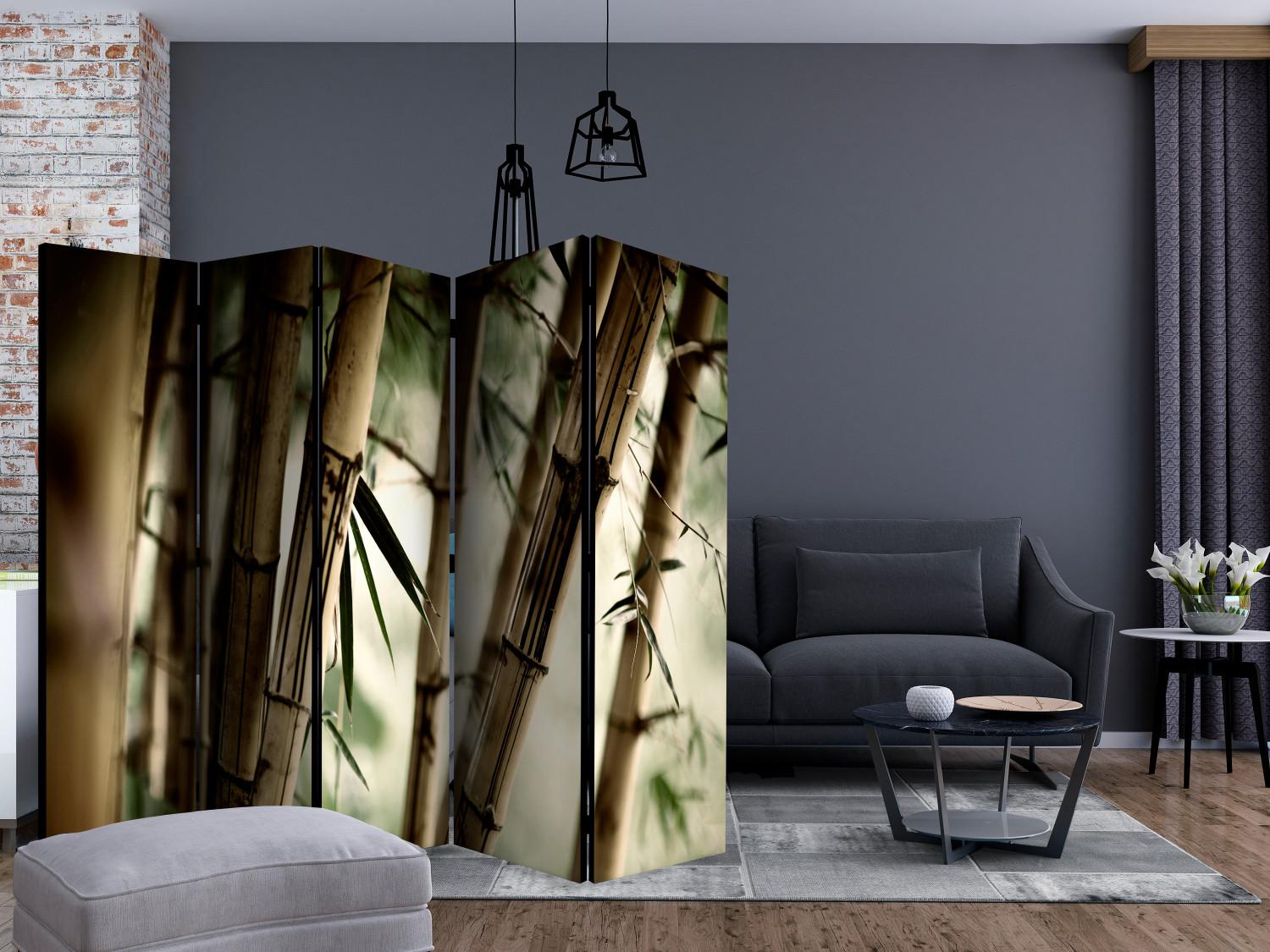 Room Divider Fog and Bamboo Forest II (5-piece) - bamboo poles in the forest