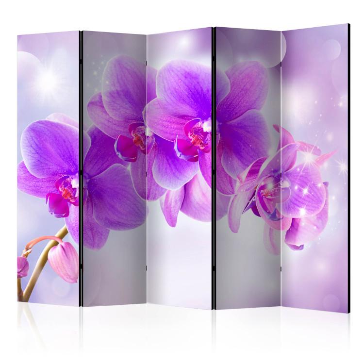 Room Divider Purple Orchids II [Room Dividers]