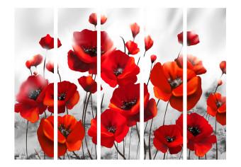 Room Divider Poppies in Moonlight II (5-piece) - red wildflowers and meadow