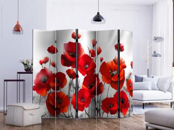 Room Divider Poppies in Moonlight II (5-piece) - red wildflowers and meadow