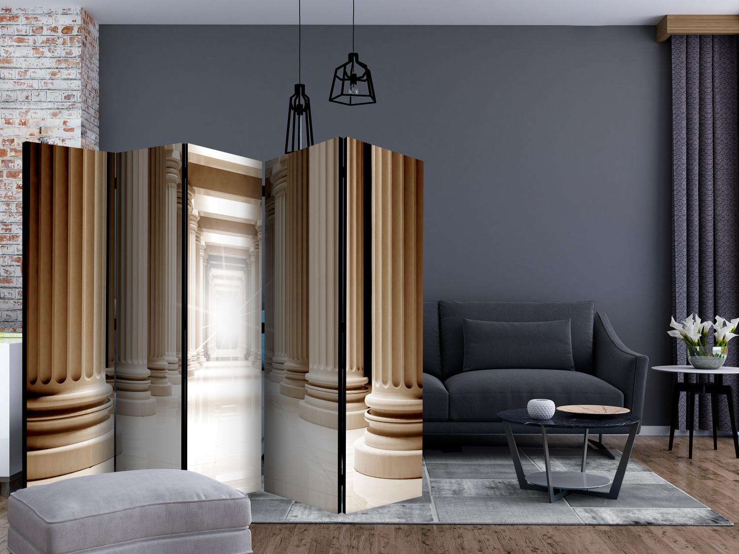 Room Divider In the Ancient Pantheon II (5-piece) - frame among beige columns