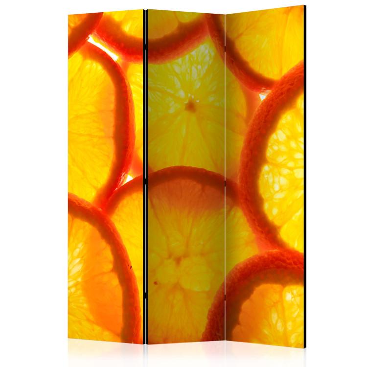 Room Divider Orange slices [Room Dividers]