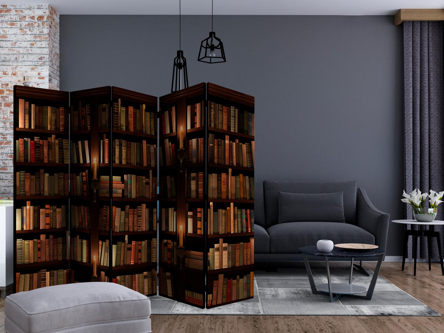 Room Divider Bookshelves II (5-piece) - dark composition with literature