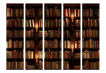 Room Divider Bookshelves II (5-piece) - dark composition with literature