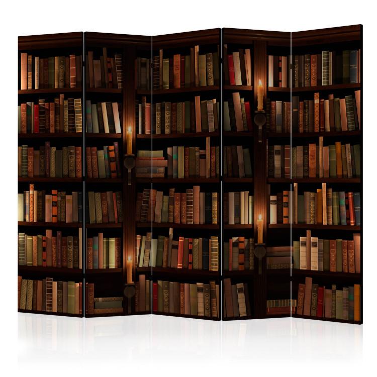 Bookshelves II (5-piece) - dark composition with literature