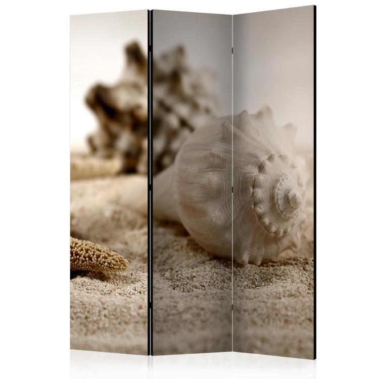 Room Divider Beach and shell [Room Dividers]