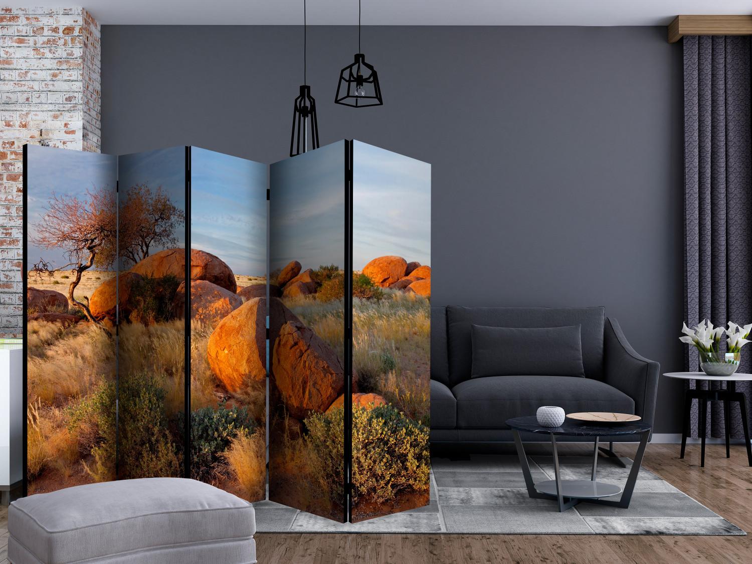 Room Divider African Landscape (5-piece) - desert landscape of trees and stones