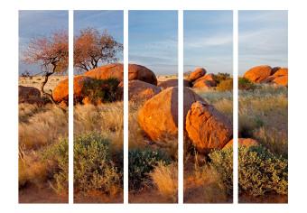 Room Divider African Landscape (5-piece) - desert landscape of trees and stones