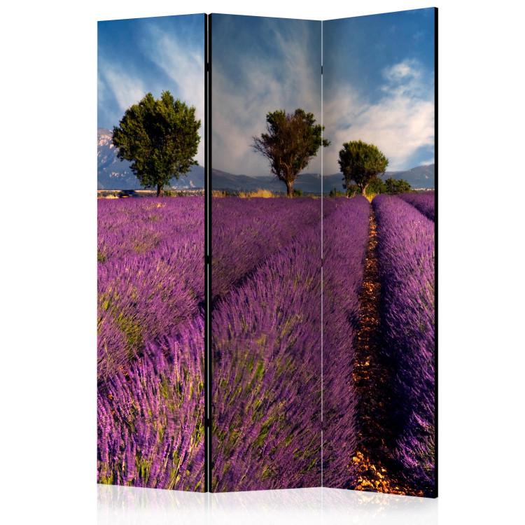 Room Divider Lavender field in Provence, France [Room Dividers]