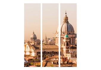 Room Divider Rome - Bird's Eye View (3-piece) - panorama of an Italian city