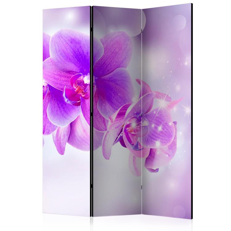 Room Divider Purple Orchids [Room Dividers]