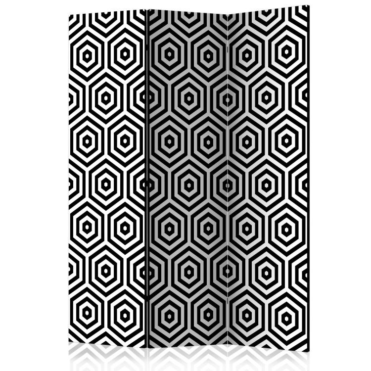 Room Divider Black and White Hypnosis [Room Dividers]