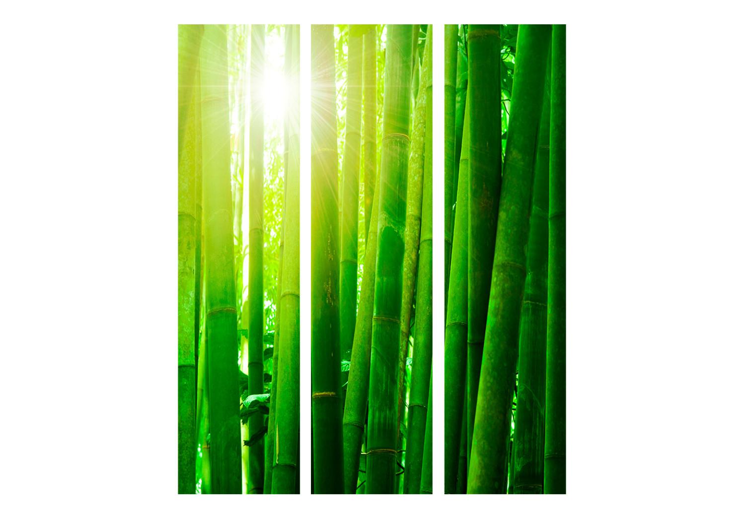 Room Divider Sun and bamboo [Room Dividers]