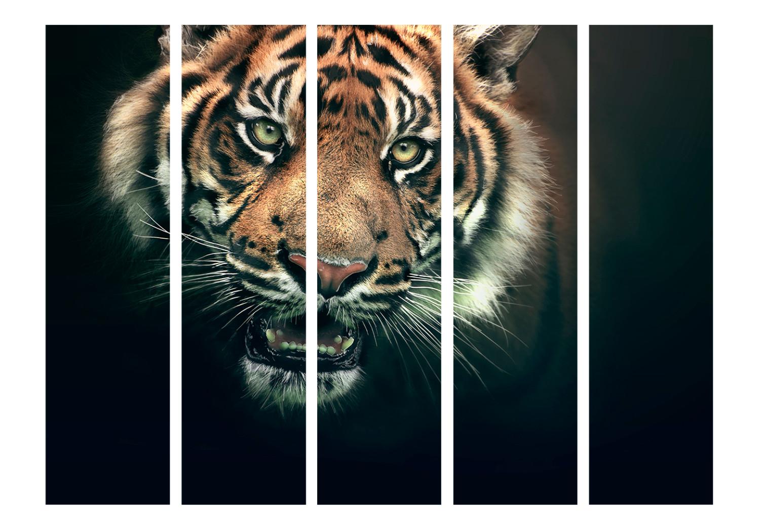 Room Divider Bengal Tiger II (5-piece) - wild animal on a black background