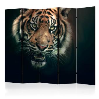 Room Divider Bengal Tiger II (5-piece) - wild animal on a black background