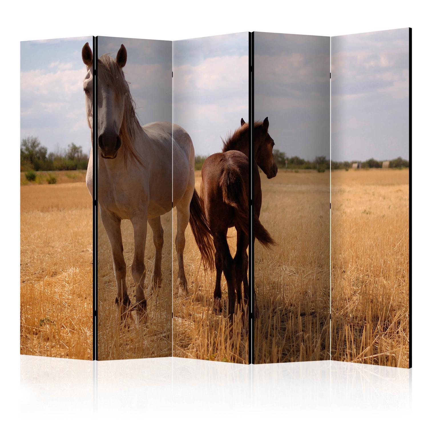 Room Divider Mare and Foal II (5-piece) - wild animals in a landscape