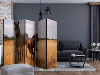 Room Divider Mare and Foal II (5-piece) - wild animals in a landscape
