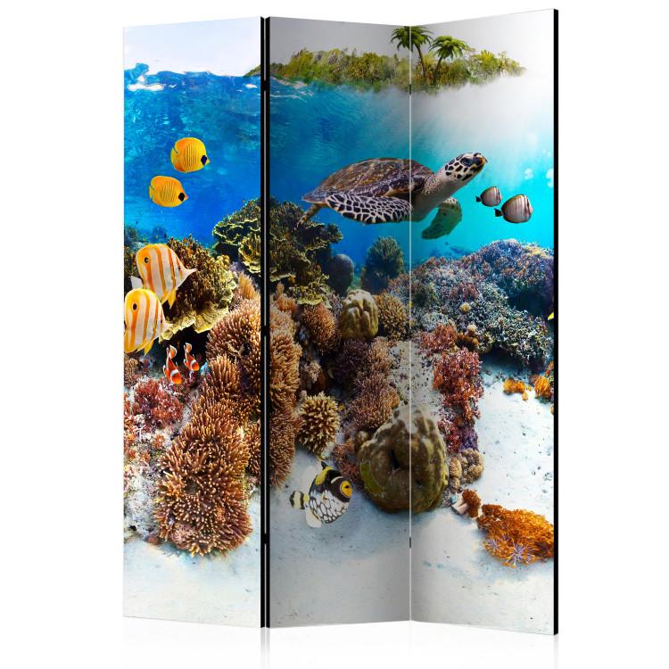 Coral Reef (3-piece) - colorful fish and plants at the bottom of the ocean