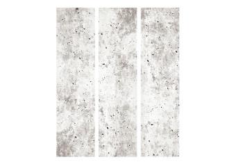 Room Divider Urban Style: Concrete (3-piece) - simple composition in gray background