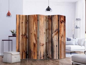 Room Divider Wooden Chamber II (5-piece) - simple composition in brown boards