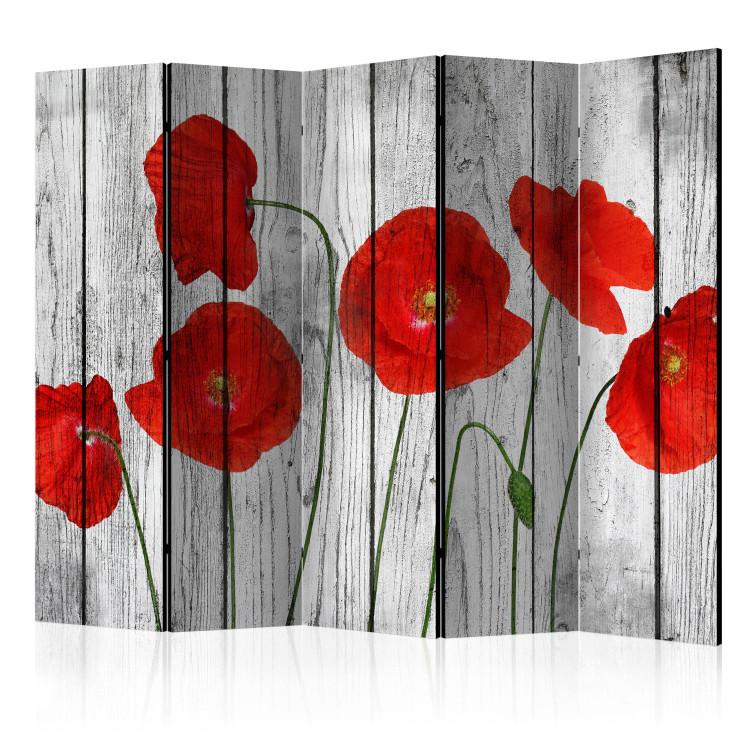 Room Divider Tale of Red Poppies II [Room Dividers]