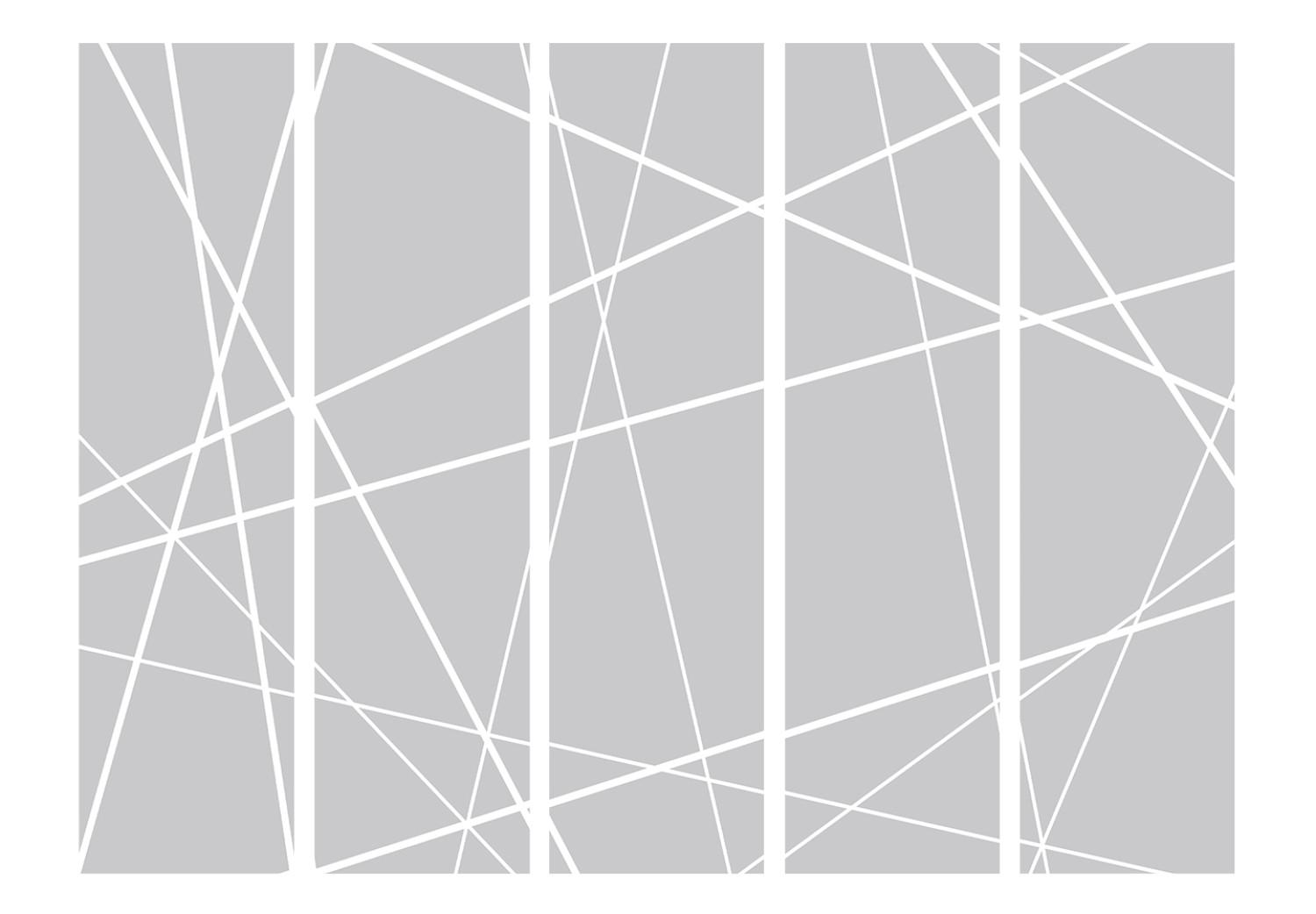 Room Divider Modern Cobweb II - texture with uniform gray figures