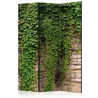 Room Divider Ivy Wall - light brick wall covered with green leafy plant