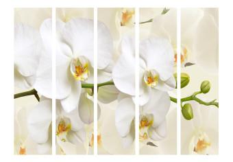Room Divider Orchid Branch II - composition of white lily flowers on a light background