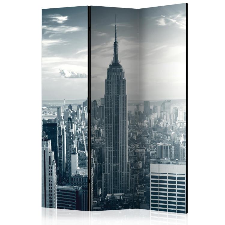Room Divider Amazing view to New York Manhattan at sunrise [Room Dividers]