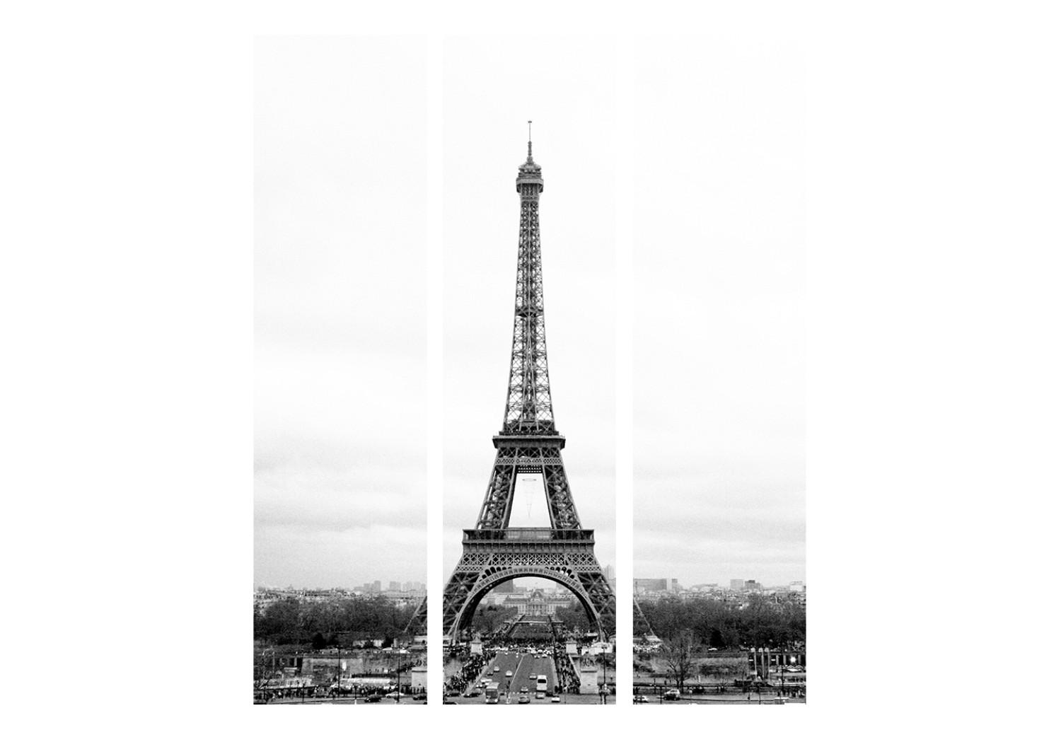 Room Divider Paris: Black and White Photography II - black and white landscape of the Eiffel Tower