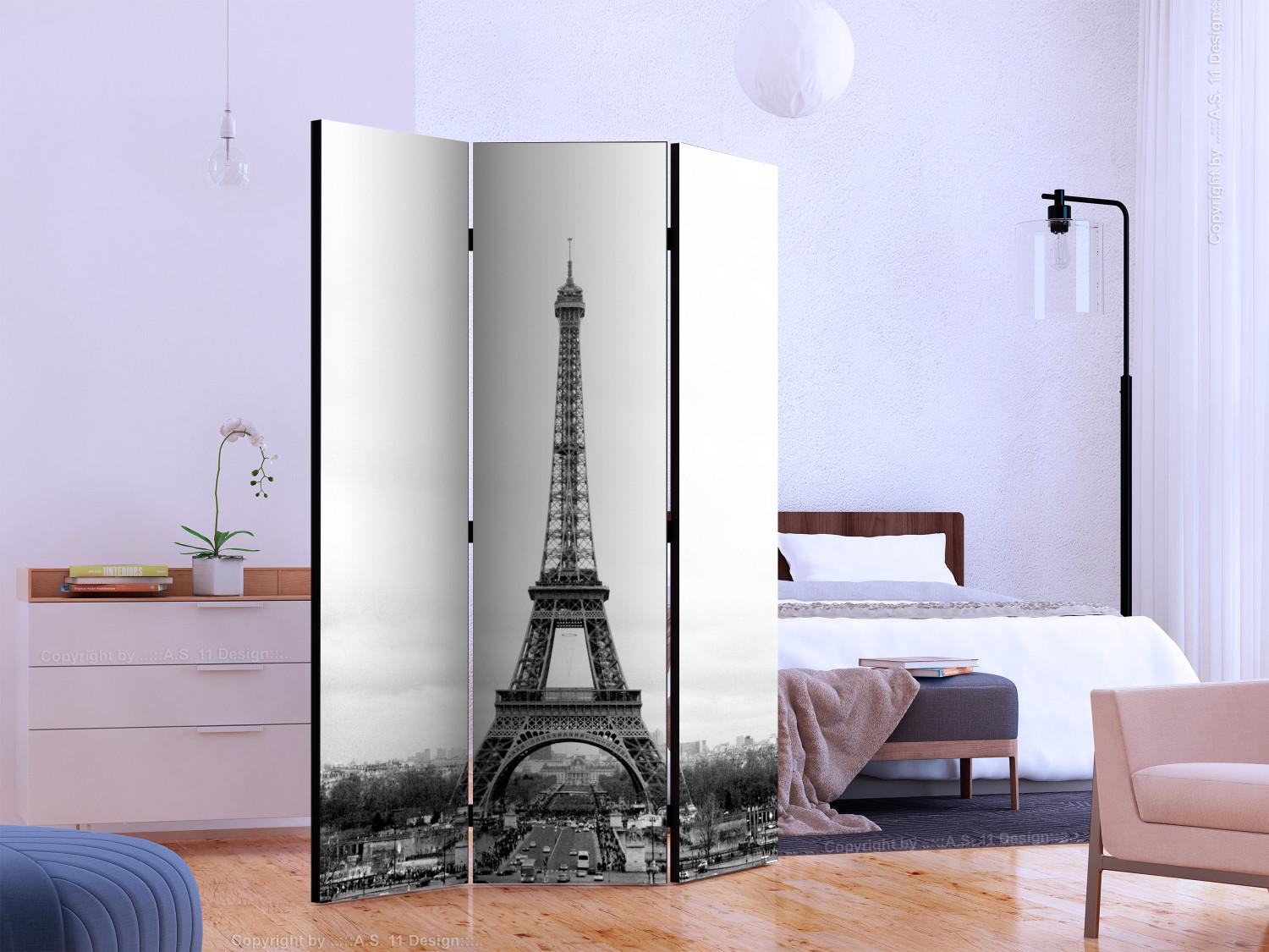Room Divider Paris: Black and White Photography II - black and white landscape of the Eiffel Tower